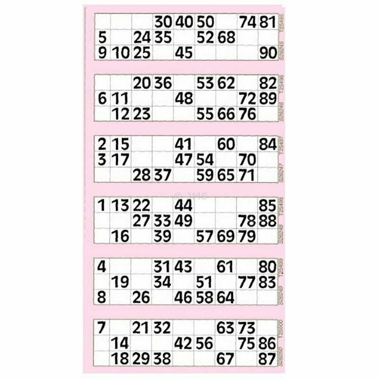 Bingo Ticket Padded Book 21 cm x 12 cm 600 Tickets Game Night 6 to View - PINK
