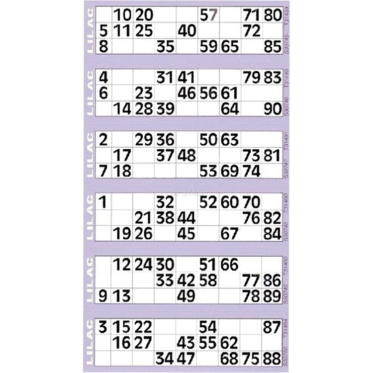 Bingo Ticket Padded Book 21 cm x 12 cm 600 Tickets Game Night 6 to View - LILAC